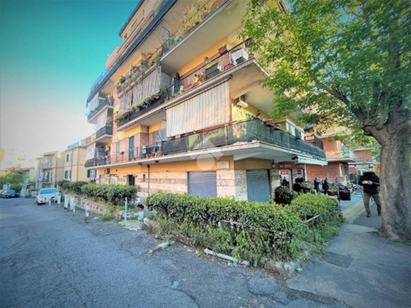 negozio in affitto a Roma in zona Torrevecchia