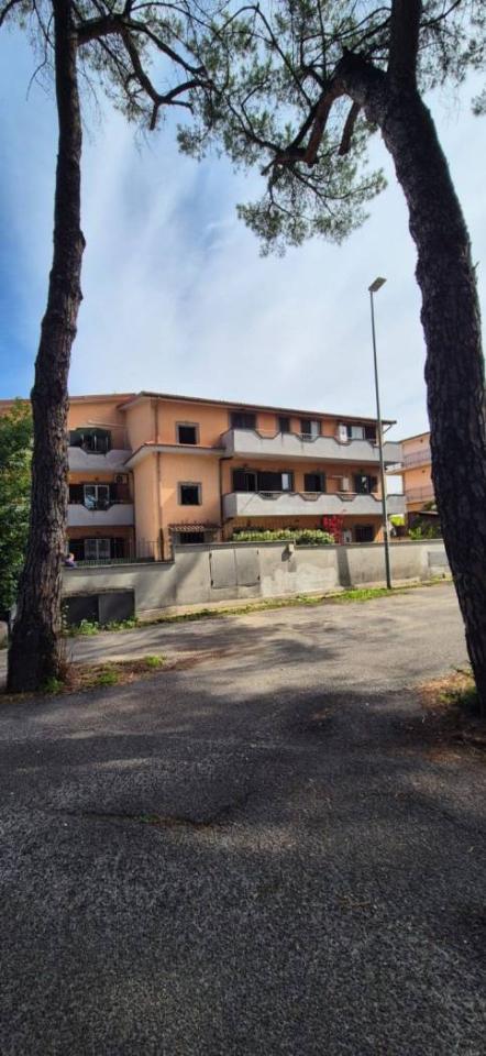 appartamento in affitto a Roma in zona Borghesiana