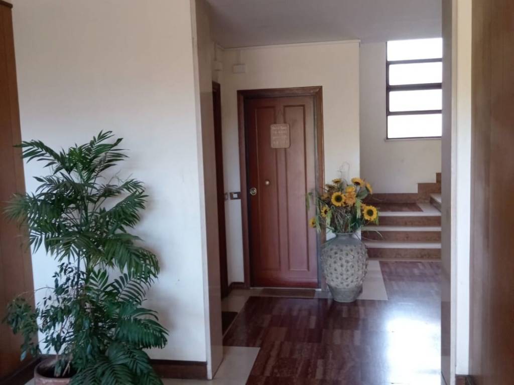 appartamento in affitto a Roma in zona Giuliano Dalmata
