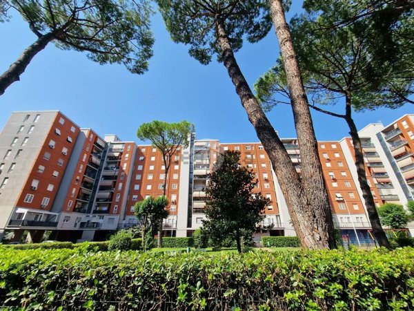 appartamento in affitto a Roma in zona Collatino