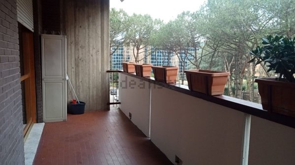appartamento in affitto a Roma in zona Torrino