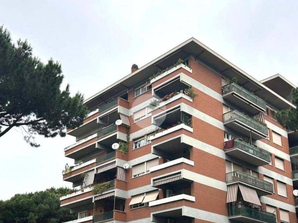 appartamento in affitto a Roma in zona Torrino