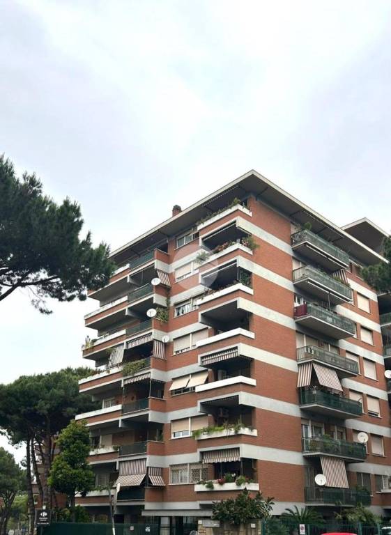 appartamento in affitto a Roma in zona Ostiense