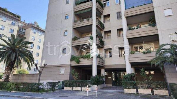 appartamento in affitto a Roma in zona Torrino