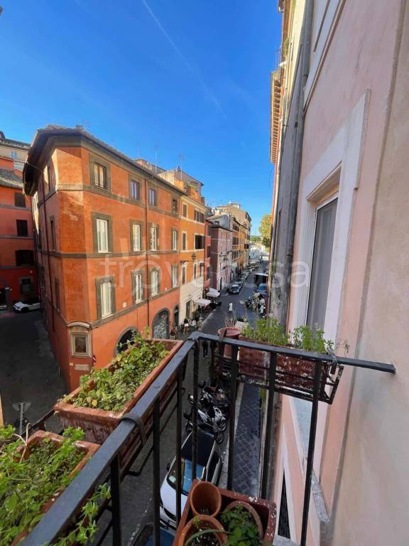 appartamento in affitto a Roma in zona Parione/Sant'Eustachio
