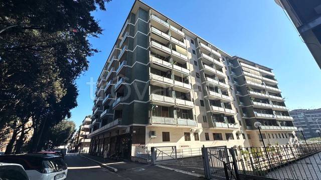 appartamento in affitto a Roma in zona Ardeatino