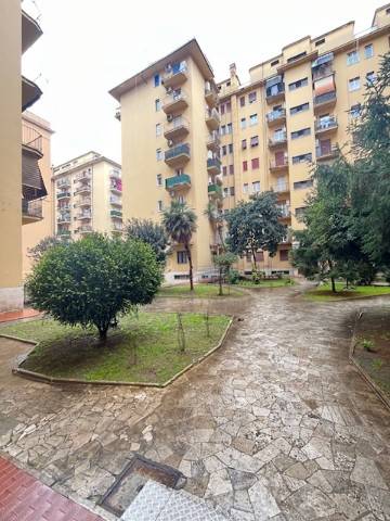 appartamento in affitto a Roma in zona Tuscolano