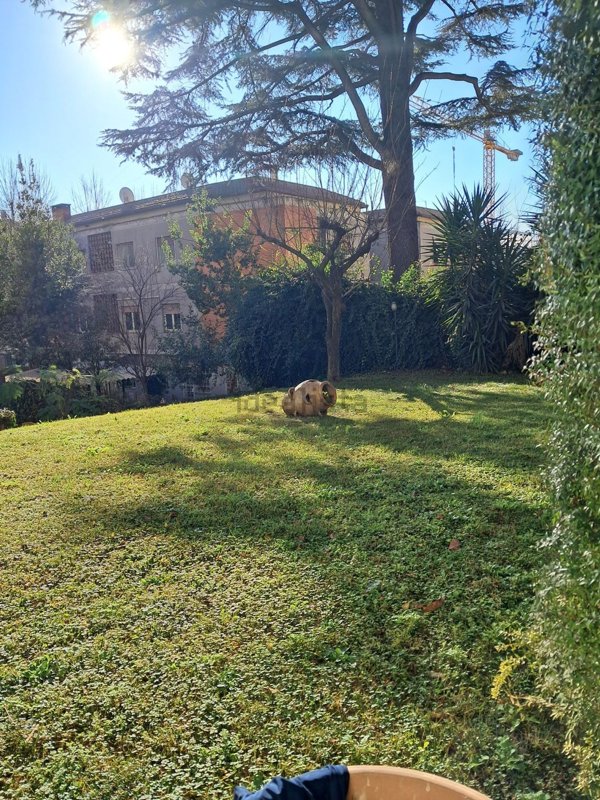appartamento in affitto a Roma in zona EUR