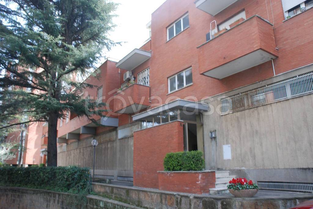 appartamento in affitto a Roma in zona Trieste
