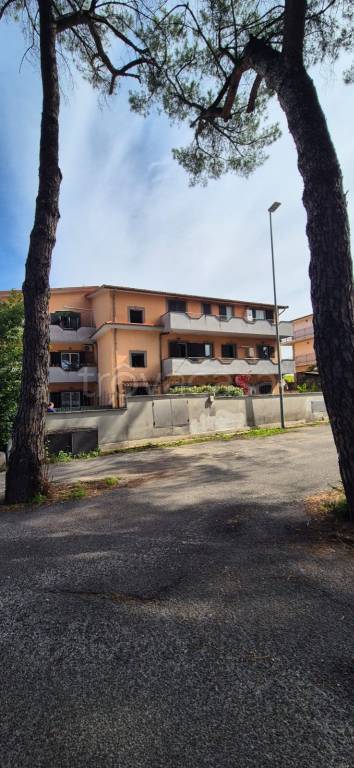 appartamento in affitto a Roma in zona Borghesiana
