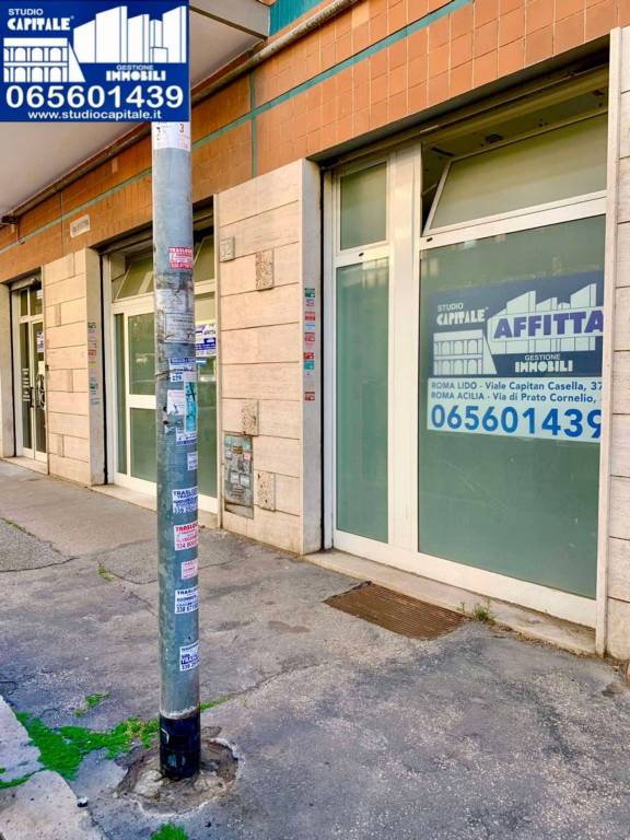 trivano in affitto a Roma in zona Ostia