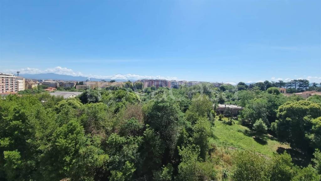 appartamento in affitto a Roma in zona Collatino