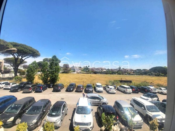 quadrivano in affitto a Roma in zona Casal Palocco