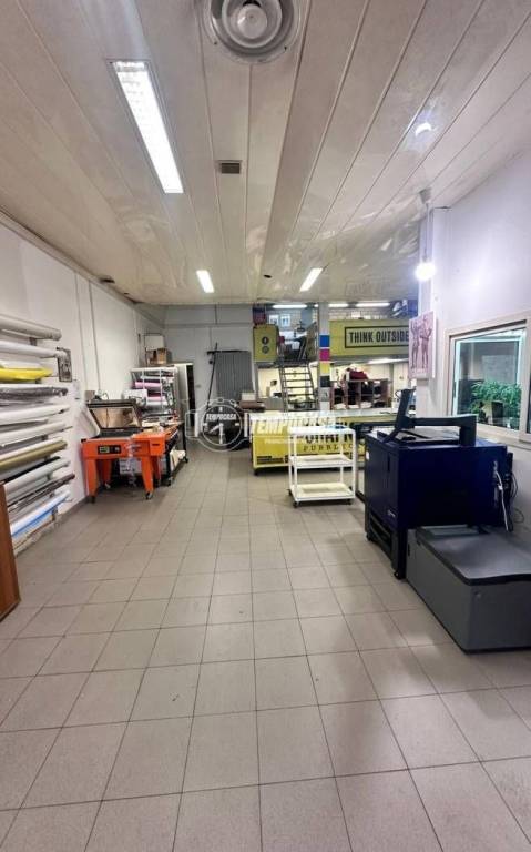 trivano in affitto a Roma in zona Casalotti