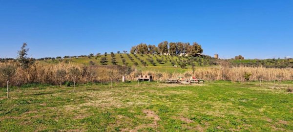 terreno edificabile in affitto a Roma in zona Falcognana