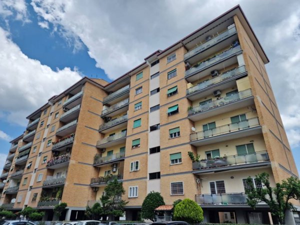 appartamento in affitto a Roma in zona Alessandrino