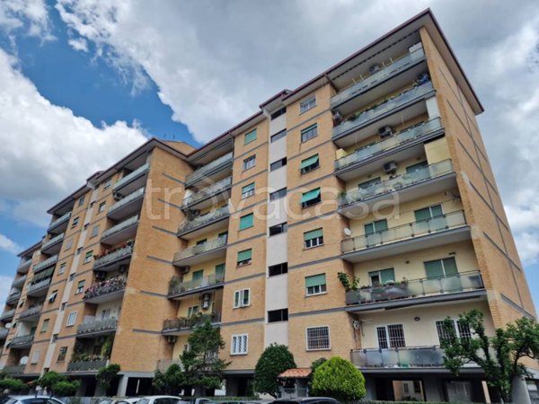 appartamento in affitto a Roma in zona Alessandrino