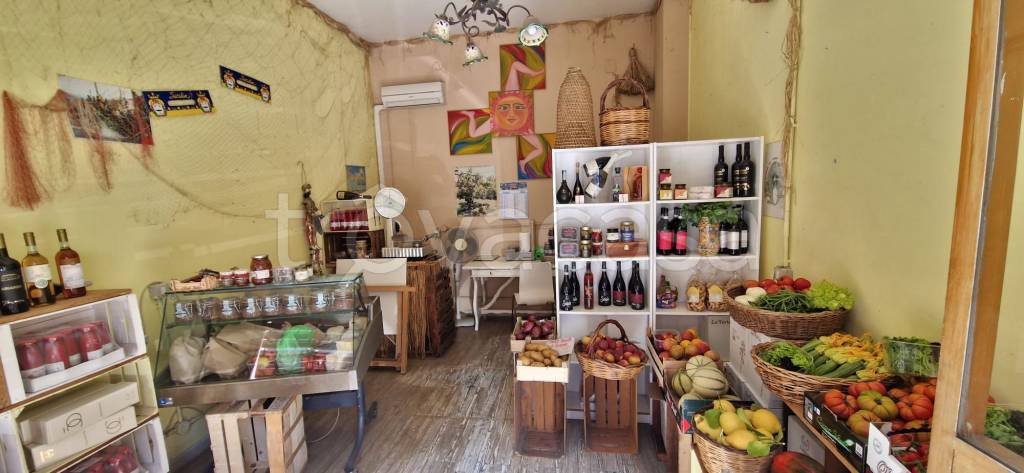 negozio in affitto a Roma in zona Monte Sacro/Talenti