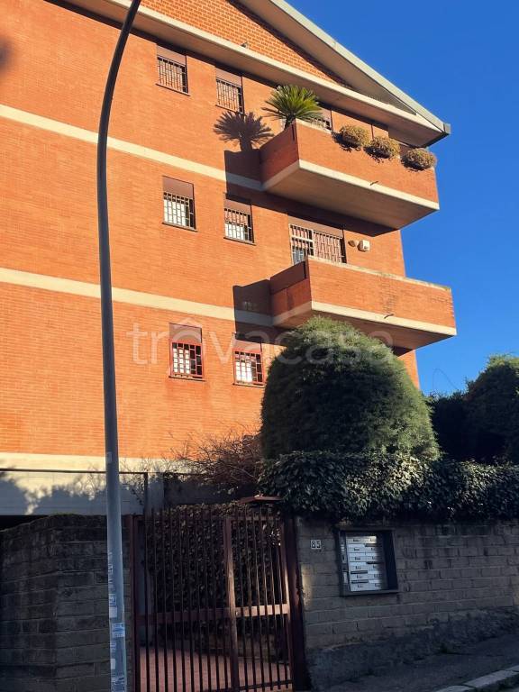 appartamento in affitto a Roma in zona Giuliano Dalmata