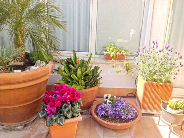 appartamento in affitto a Roma in zona Aurelio