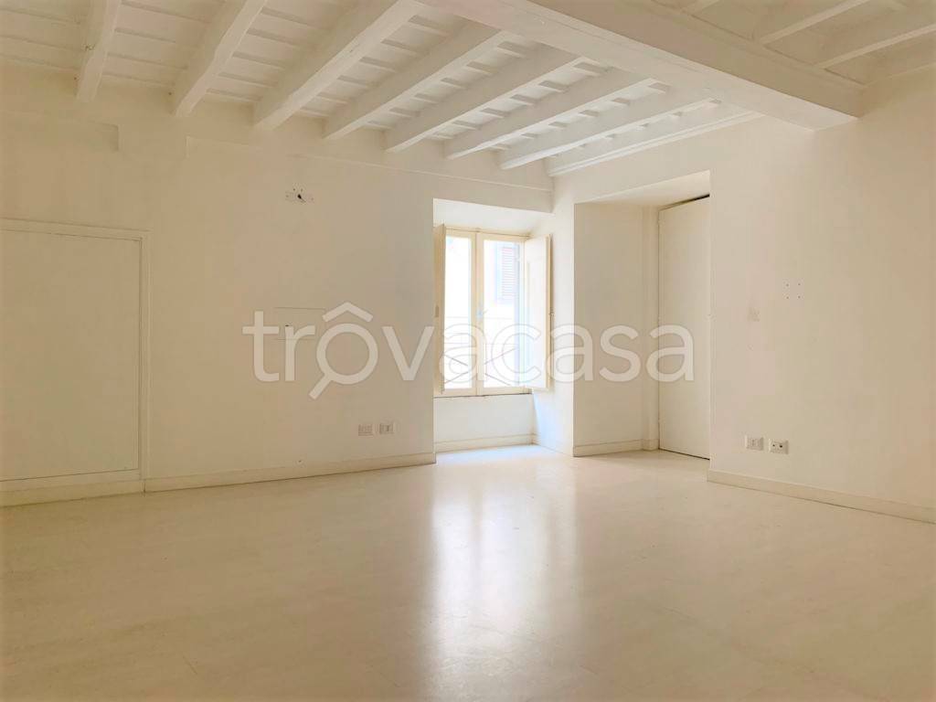 appartamento in affitto a Roma in zona Campo Marzio