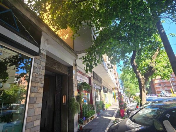 appartamento in affitto a Roma in zona Trieste