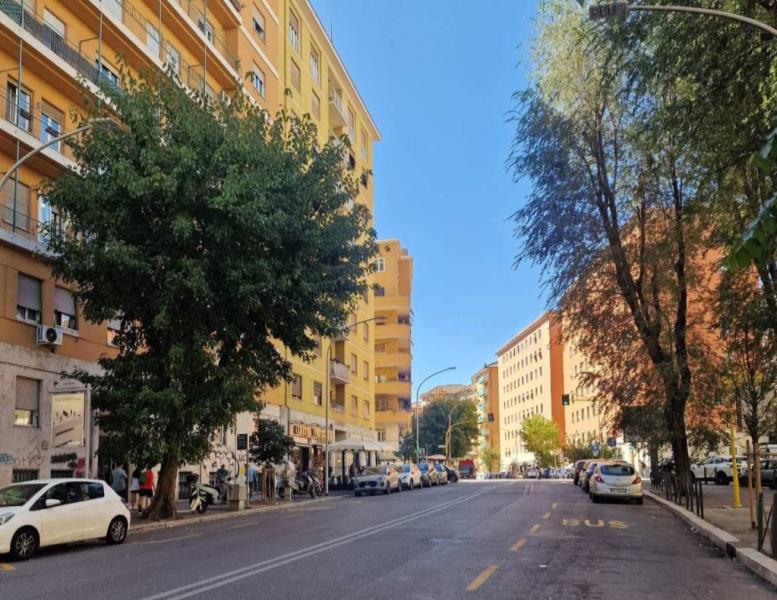 locale commerciale in affitto a Roma in zona Trieste