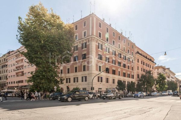 appartamento in affitto a Roma in zona Rione Prati