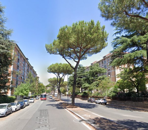appartamento in affitto a Roma in zona Collatino