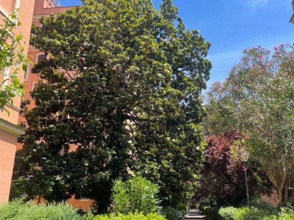 appartamento in affitto a Roma in zona Flaminio