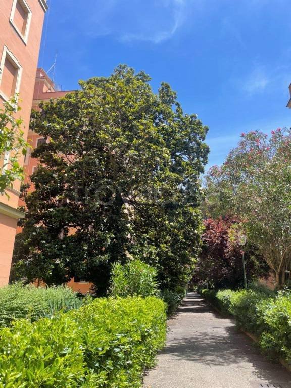 appartamento in affitto a Roma in zona Flaminio