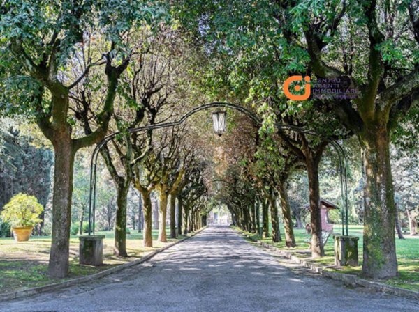 appartamento in affitto a Roma in zona Della Vittoria