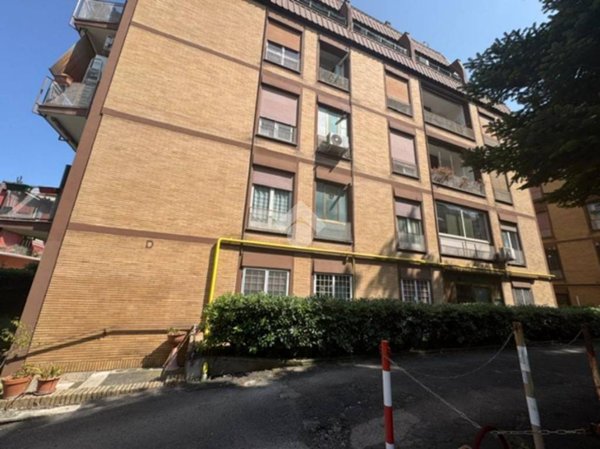 appartamento in affitto a Roma in zona Primavalle