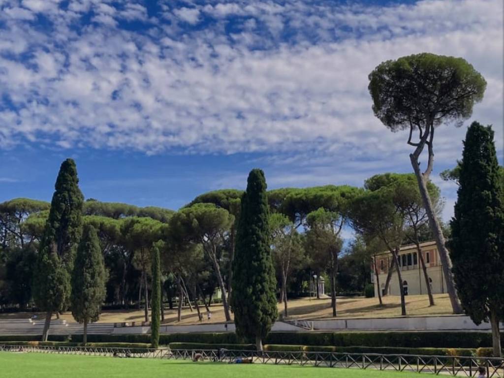 appartamento in affitto a Roma in zona Flaminio