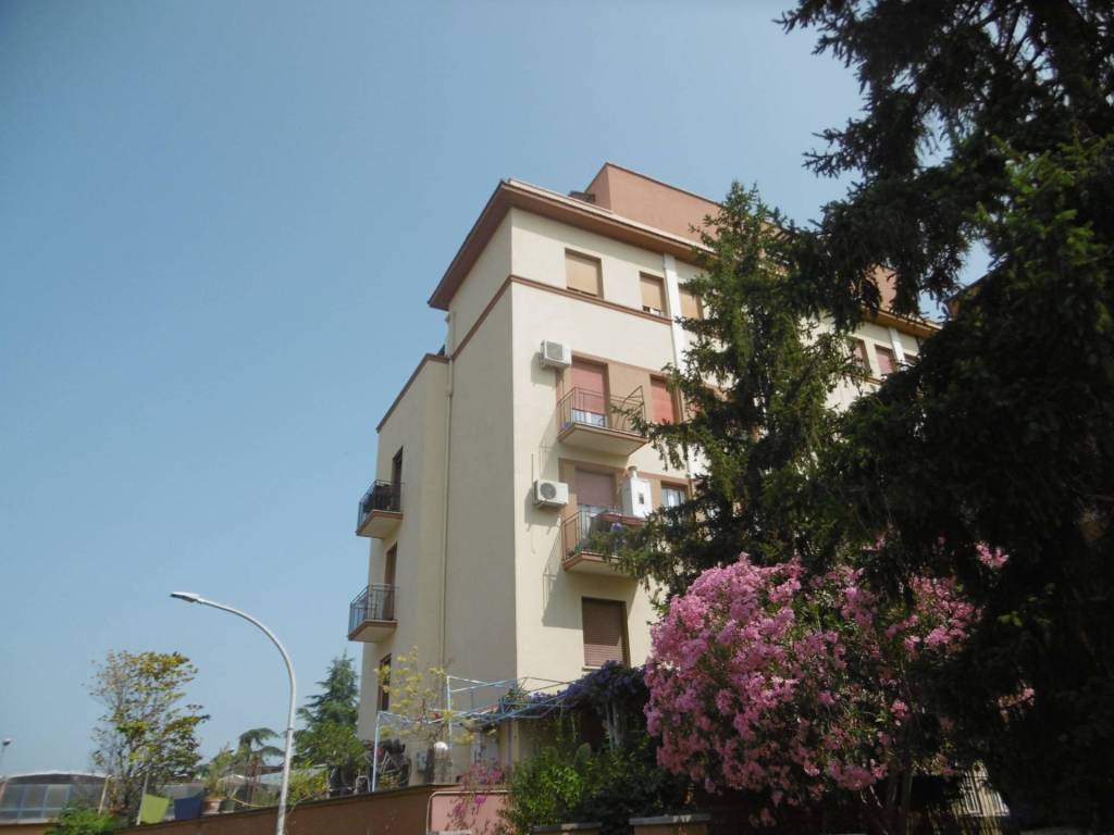 appartamento in affitto a Roma in zona Monte Sacro/Talenti