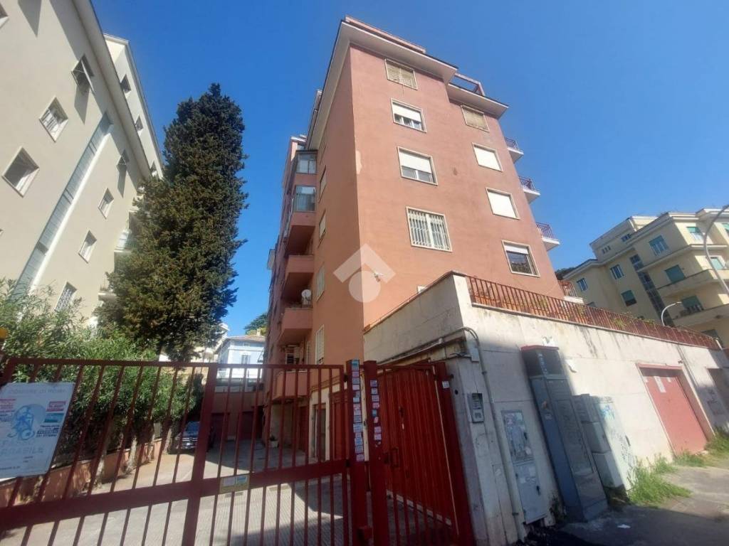 appartamento in affitto a Roma in zona Gianicolense