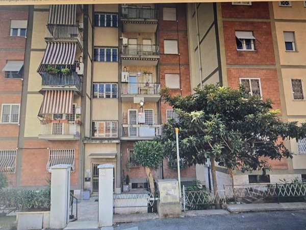 appartamento in affitto a Roma in zona Monte Sacro/Talenti