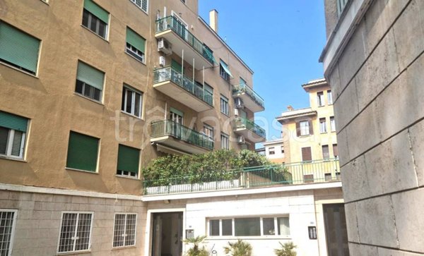 appartamento in affitto a Roma in zona Trieste