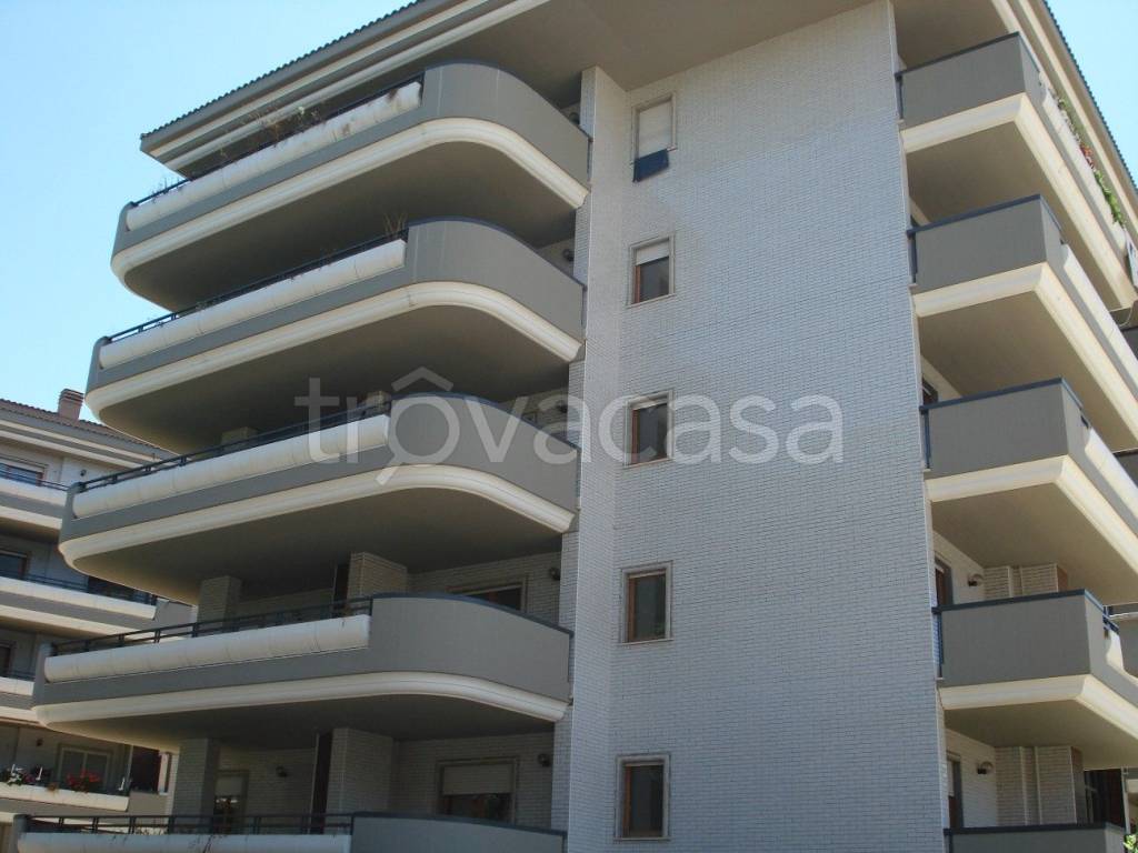 appartamento in affitto a Roma in zona Trionfale