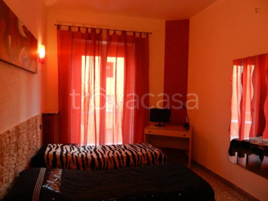 appartamento in affitto a Roma in zona Appio Latino