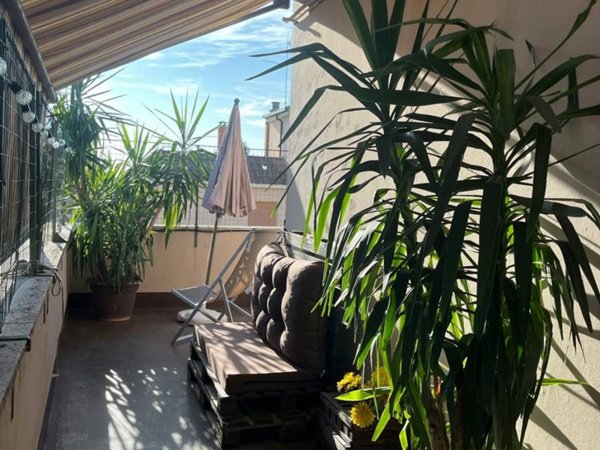 appartamento in affitto a Roma in zona Trionfale