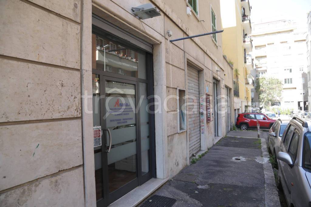 appartamento in affitto a Roma in zona Trieste