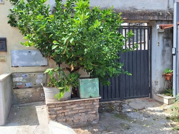 appartamento in affitto a Roma in zona Tuscolano