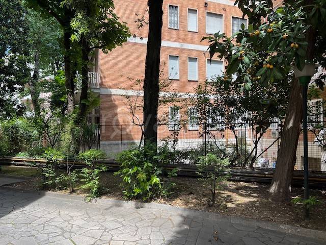 appartamento in affitto a Roma in zona Parioli