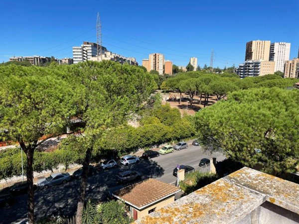 appartamento in affitto a Roma in zona Monte Sacro/Talenti