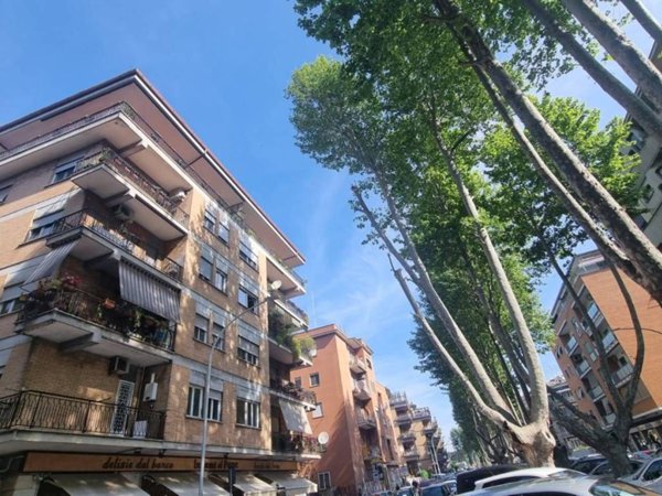 appartamento in affitto a Roma in zona Monte Sacro/Talenti