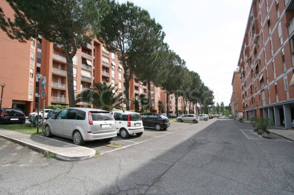 appartamento in affitto a Roma in zona Castel Giubileo