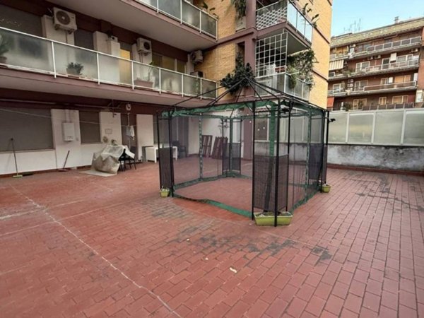 appartamento in affitto a Roma in zona Monte Sacro/Talenti