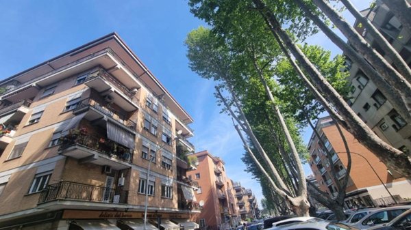appartamento in affitto a Roma in zona Monte Sacro/Talenti