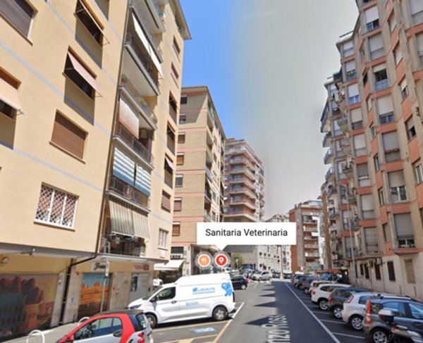 appartamento in affitto a Roma in zona Collatino